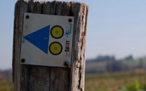Bewegwijzering met blauwe pijl op houten paaltje