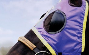 Een paard met oogkleppen