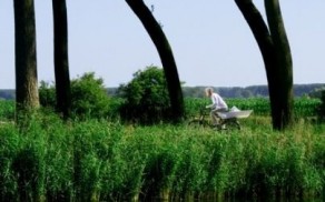 Persoon fietst in groen landschap tegen de wind in